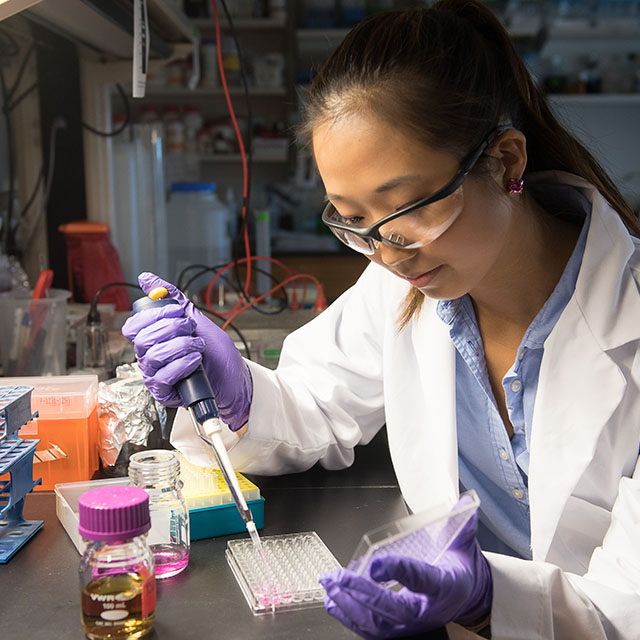 A biology student carefully places samples into a tray