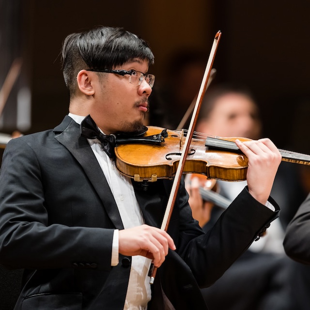 Violinist performs